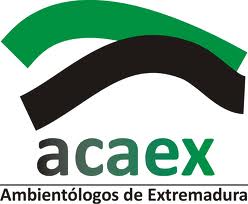 logo acaex